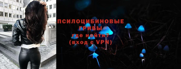 спиды Дмитриев