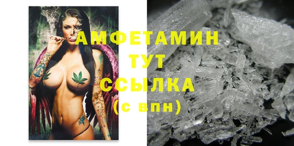 спиды Дмитриев