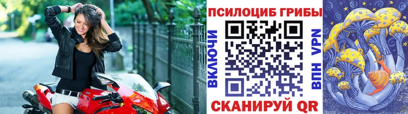 Купить  Калязин  Псилоцибиновые грибы Psilocybe 